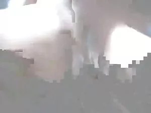 Grasso vorrei un fil ...