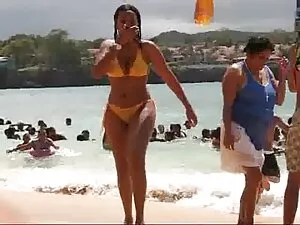 La cagna voglio porm ...