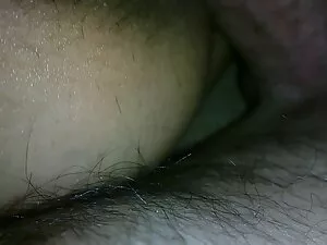 Un cane con un mohaw ...