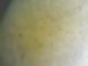 Sborrata sulla figa  ...